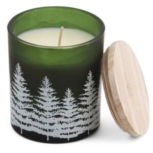 SAND AND FOG 11.5oz Vanilla Snowflake Candle, NWT
